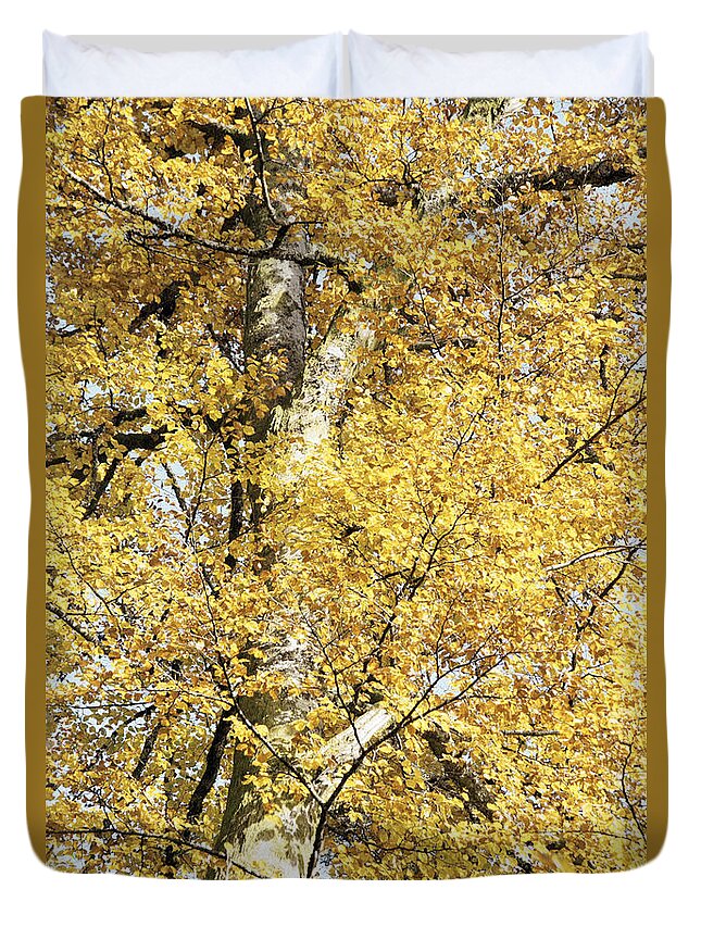Nature Duvet Cover featuring the photograph Golden tree by Patrick Kessler
