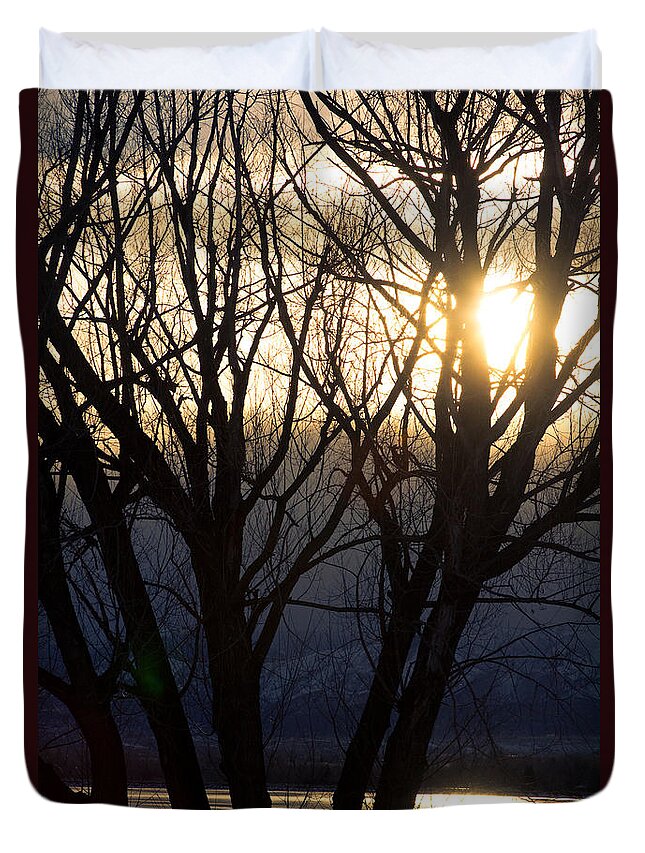 Trees Duvet Cover featuring the photograph Golden Winter Glow by James BO Insogna