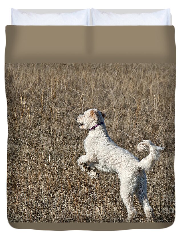 Nature Duvet Cover featuring the photograph Goldendoodle Jumping by William H. Mullins