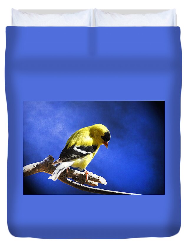 American Goldfinch Duvet Cover featuring the photograph Goldfinch in the Blues by Randall Branham