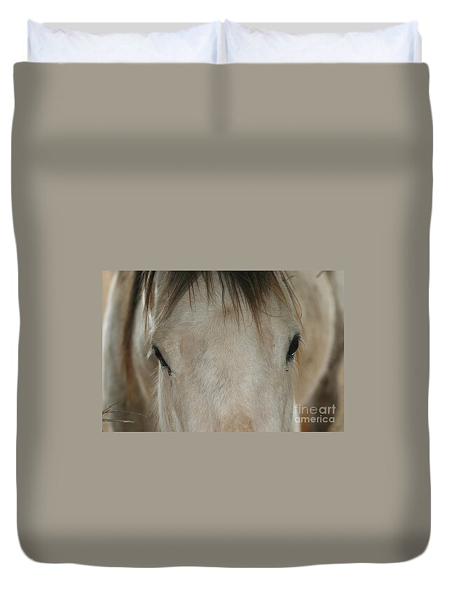 Horse Duvet Cover featuring the photograph Goldilocks by Living Color Photography Lorraine Lynch