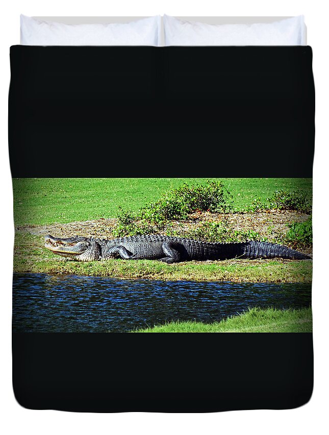 Alligator Duvet Cover featuring the photograph Golf Course Gator by Cynthia Guinn