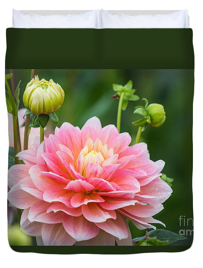  Duvet Cover featuring the photograph Good Morning Dahlia by Patricia Babbitt