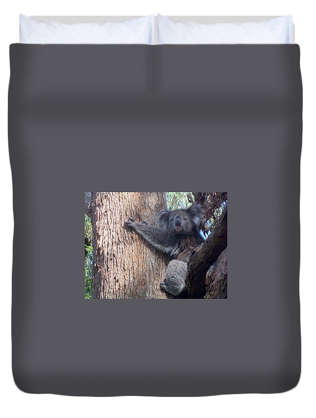 Koala Duvet Cover featuring the photograph Good Morning by Evelyn Tambour