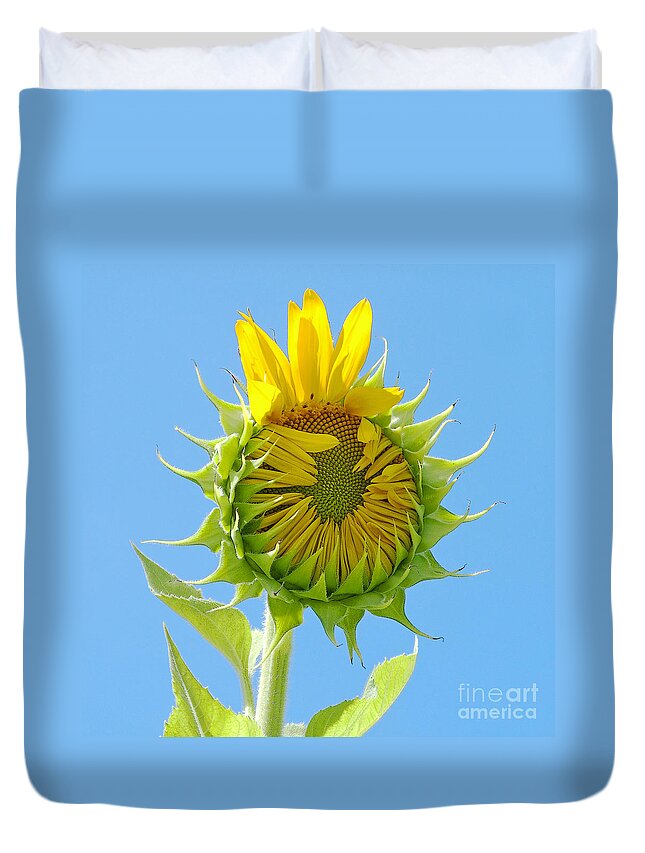 Sunflower Duvet Cover featuring the photograph Good Morning World by Ann Horn