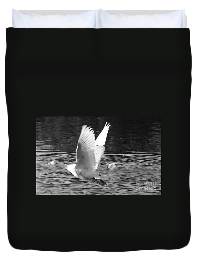 St James Lake Duvet Cover featuring the photograph Goose Flight by Jeremy Hayden