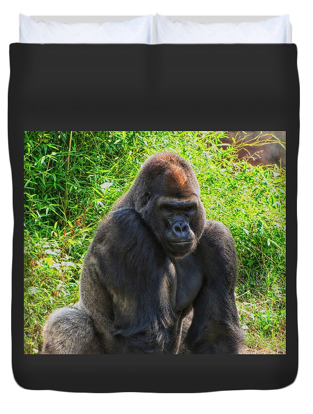 Gorilla Duvet Cover featuring the photograph Gorilla Portrait by C H Apperson