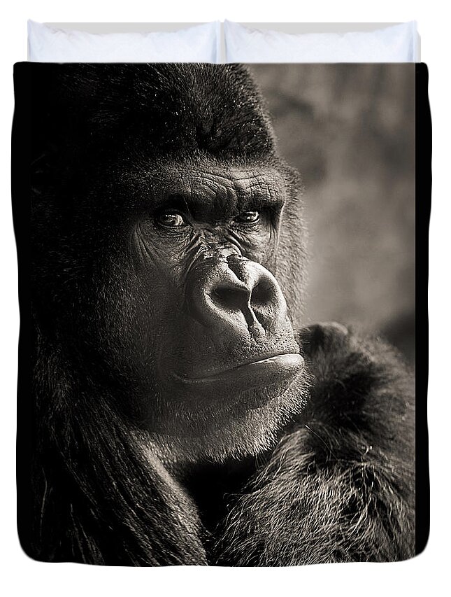 Gorilla Duvet Cover featuring the photograph Gorilla Poses I by Norma Warden