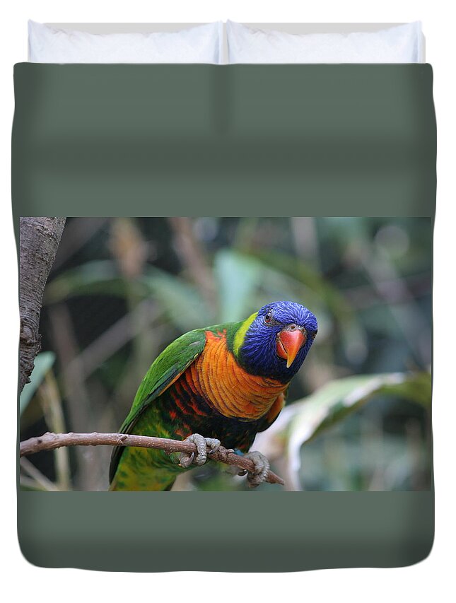 Lorie Duvet Cover featuring the photograph Curious Lorikeet by Valerie Collins