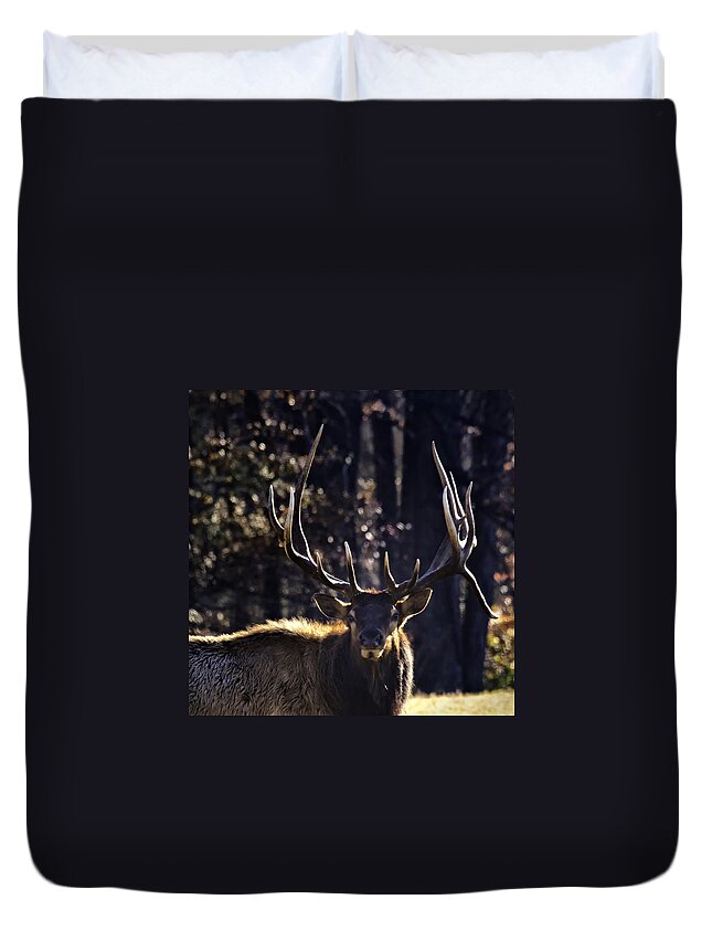 Bull Elk Duvet Cover featuring the photograph Got Antlers? by Michael Dougherty