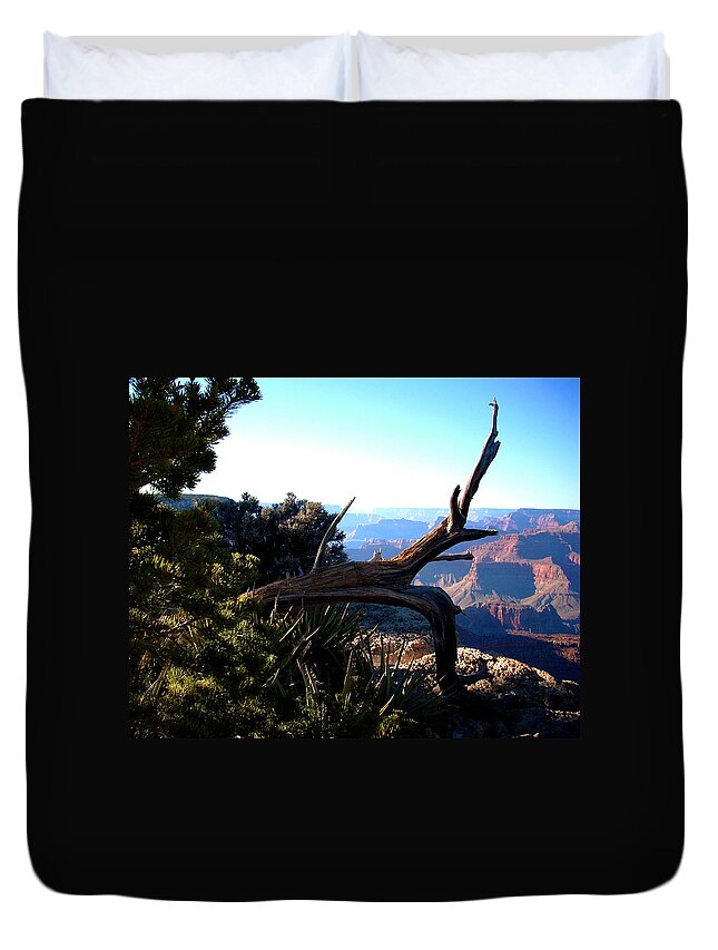 Tree Duvet Cover featuring the photograph Grand Canyon Dead Tree by Matt Quest
