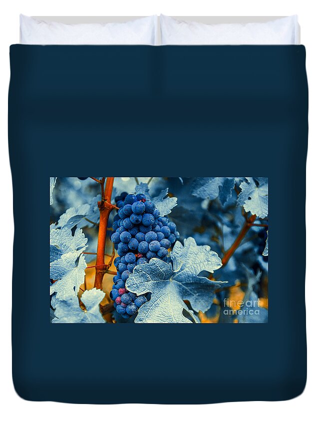 Blue Duvet Cover featuring the photograph Grapes - Blue by Hannes Cmarits