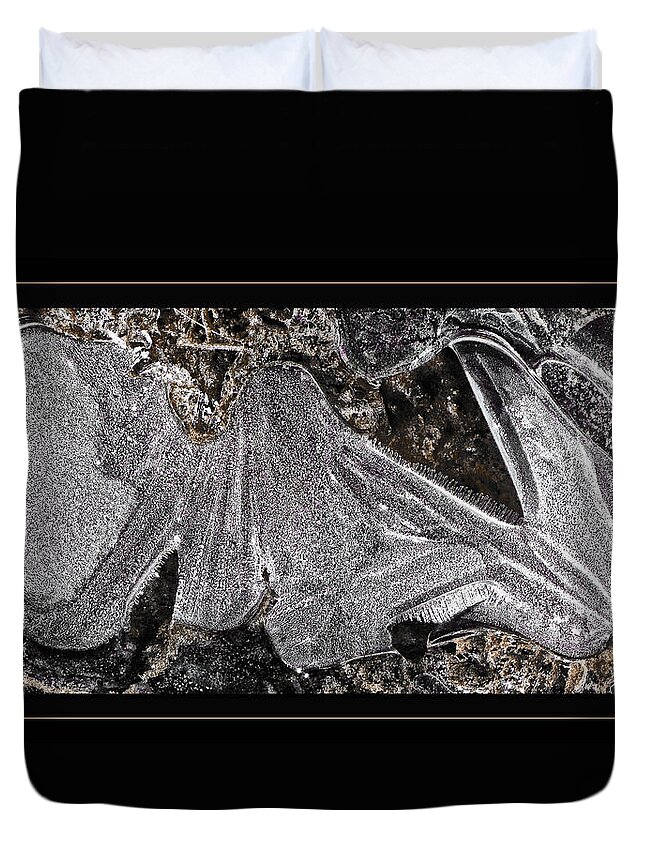 Ice Duvet Cover featuring the photograph Graphic Ice by Lucy VanSwearingen