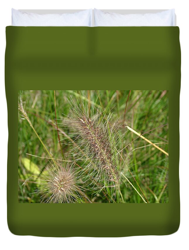 Grass Duvet Cover featuring the photograph Grasses at Spaulding Pond by Geoffrey McLean