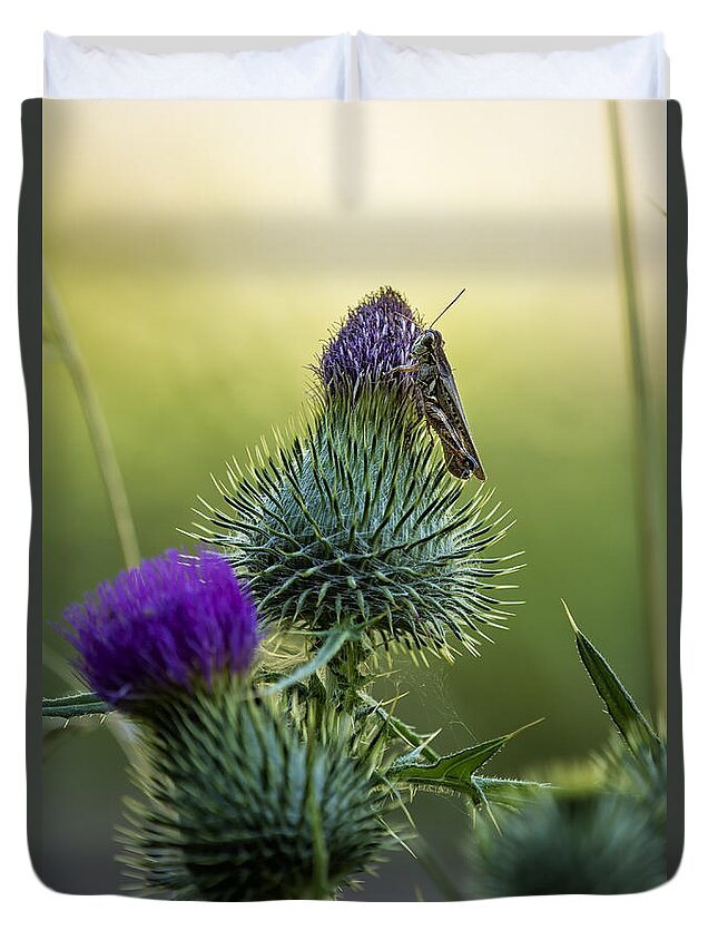 Grasshopper Duvet Cover featuring the photograph Grasshopper on a Thistle by Belinda Greb