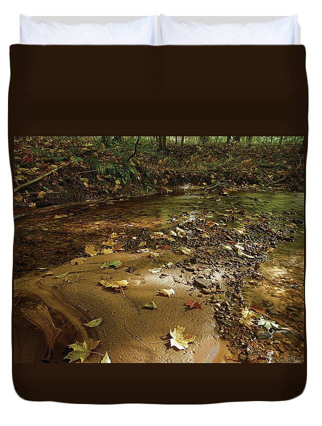 Pinney Bridge State Game Area Duvet Cover featuring the photograph Gravel Bed by Gary O'Boyle