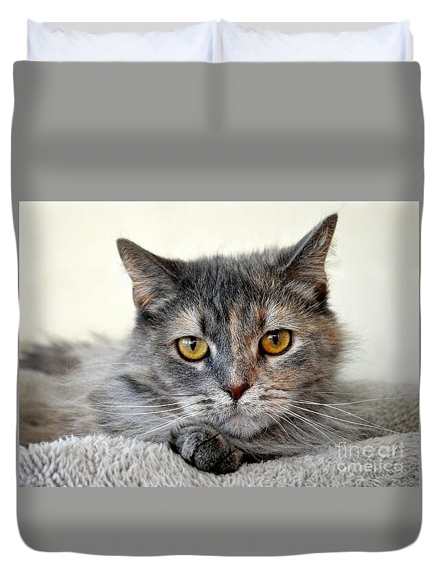 Gray And Orange Tortoiseshell Cat Thinking Duvet Cover For Sale By