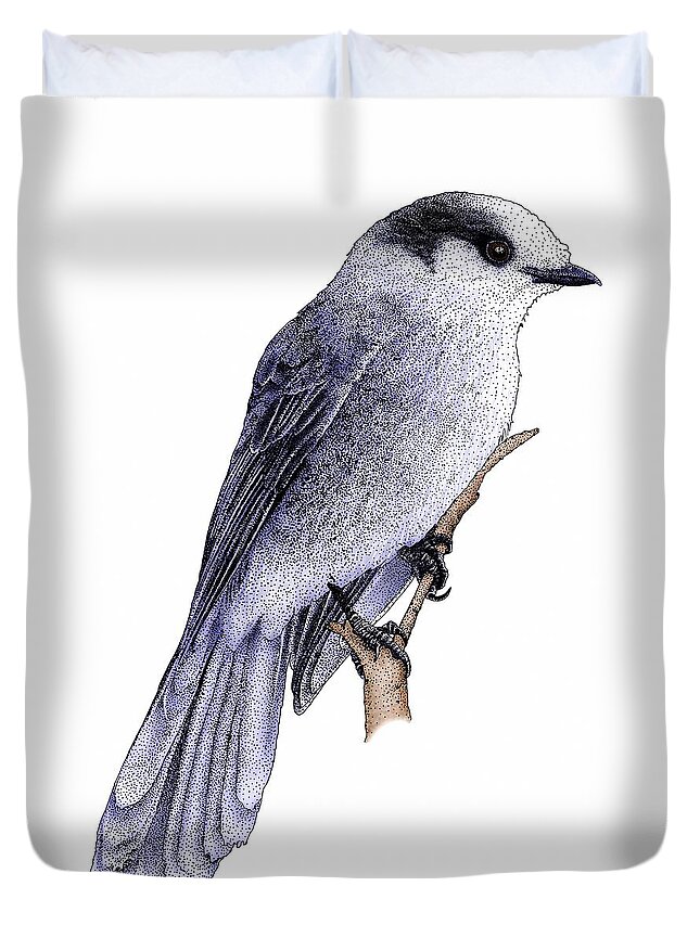 Gray Jay Duvet Cover featuring the photograph Gray Jay by Roger Hall
