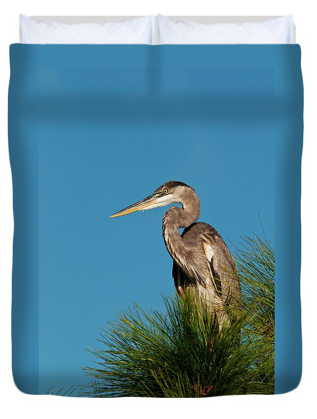 Grass Duvet Cover featuring the photograph Great Blue Heron Ardea Herodias In by Mark Newman