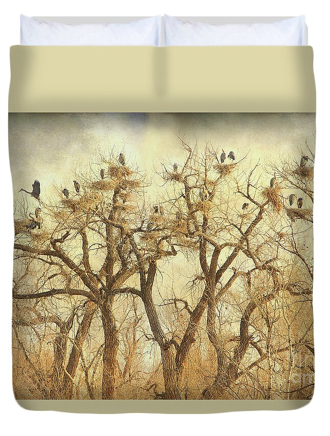 Blue Heron Duvet Cover featuring the photograph Great Blue Heron Hangout Fine Art by James BO Insogna