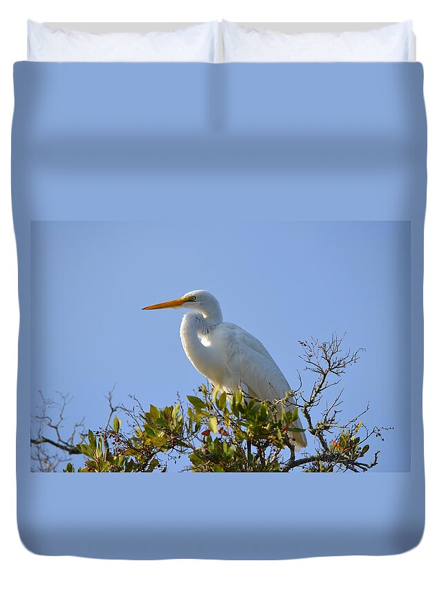 Great Egret Duvet Cover featuring the photograph Great Egret by James Petersen