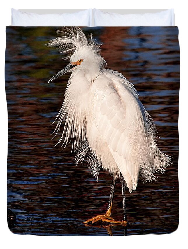 Great Egret Bird Photographs Duvet Cover featuring the photograph Great Egret Walking On Water by Jerry Cowart