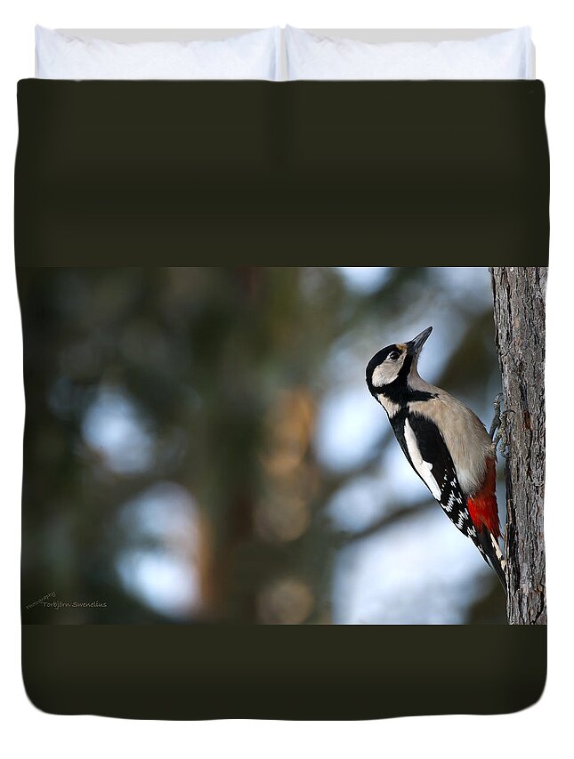 Great Spotted Woodpecker Duvet Cover featuring the photograph Great Spotted Woodpecker by Torbjorn Swenelius