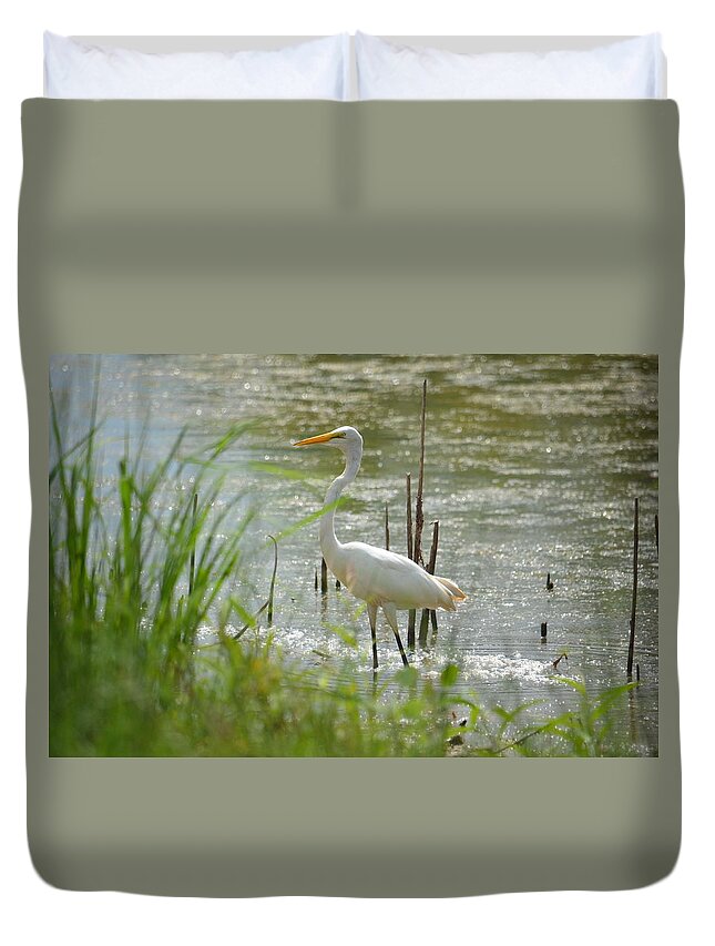 Great White Egret 15-01 Duvet Cover featuring the photograph Great White Egret 15-01 by Maria Urso