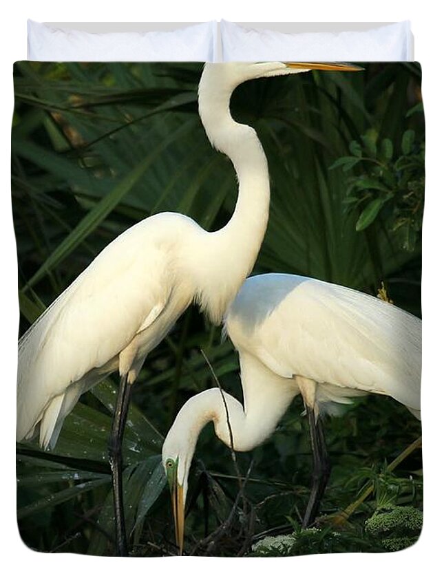 Art Duvet Cover featuring the photograph Great White Egret Mates by Sabrina L Ryan