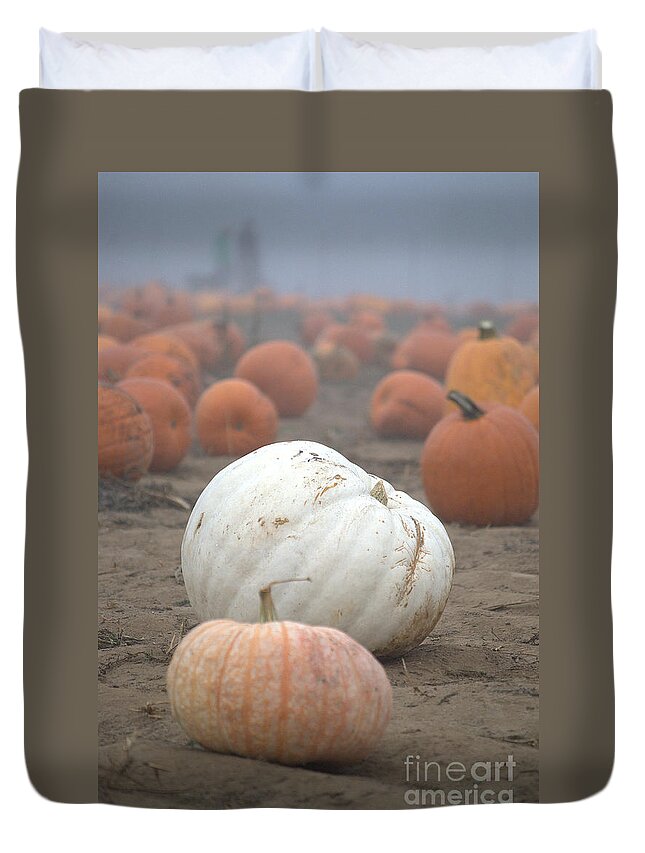 Pumpkins Duvet Cover featuring the photograph Great White Pumpkin by Sharon Elliott