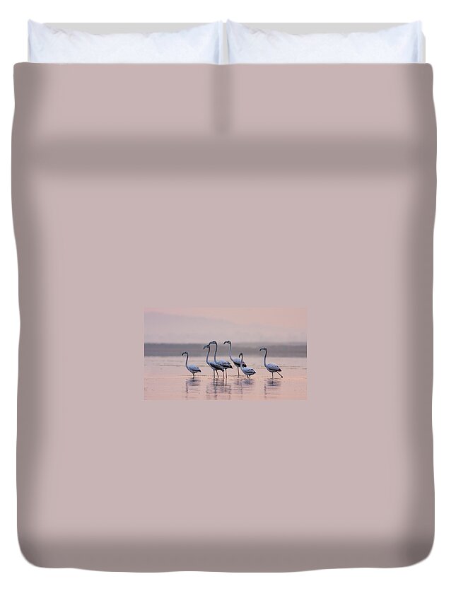Shadow Duvet Cover featuring the photograph Greater Flamingo by Zahoor Salmi