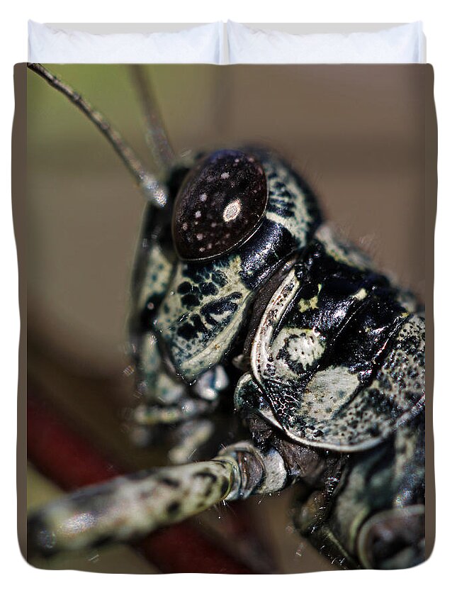Insects Duvet Cover featuring the photograph Green armor by Jennifer Robin