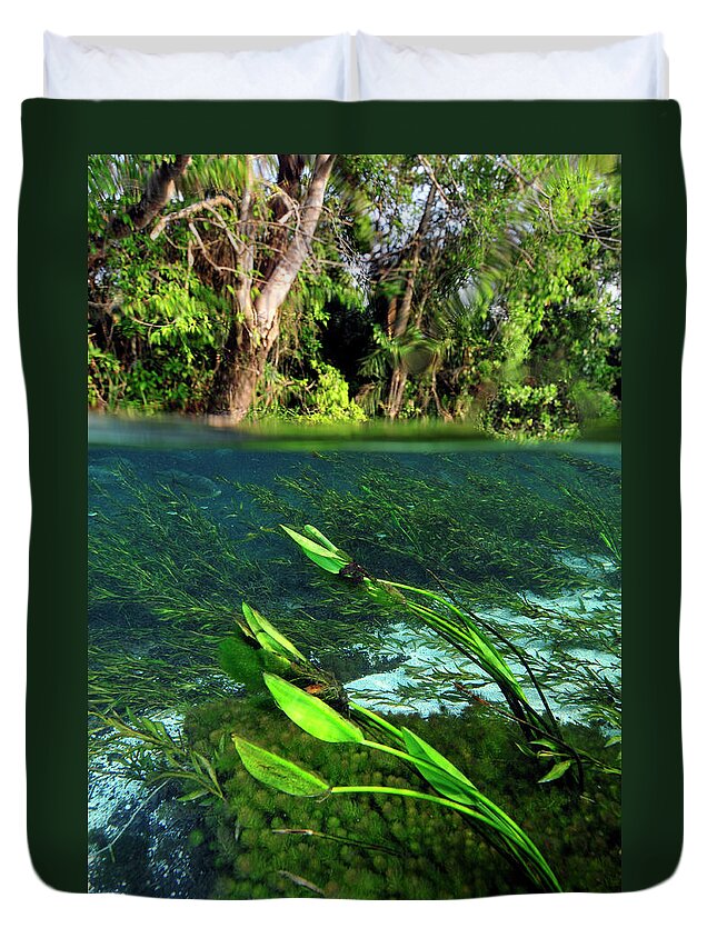 Underwater Duvet Cover featuring the photograph Green flow by Artesub