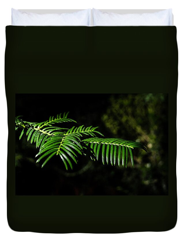 Background Duvet Cover featuring the photograph Green furry paw by Michael Goyberg