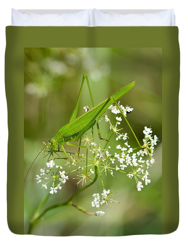 Grasshopper Duvet Cover featuring the photograph Green Grasshopper by Andreas Berthold