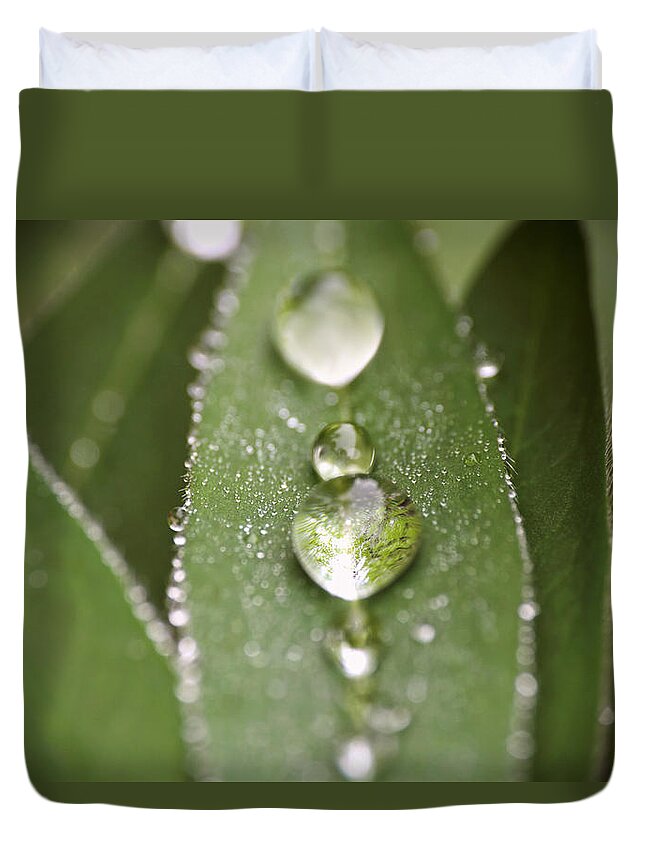 Green Leaves Duvet Cover featuring the photograph Green Leaves and Water Drops by Peggy Collins