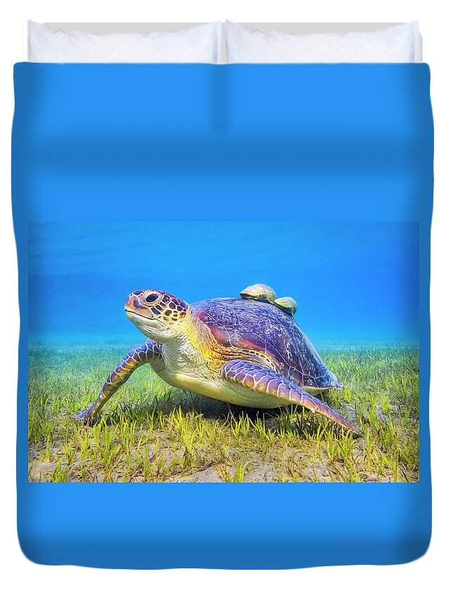 Underwater Duvet Cover featuring the photograph Green Sea Turtle Near Marsa Alam , Egypt by Cinoby