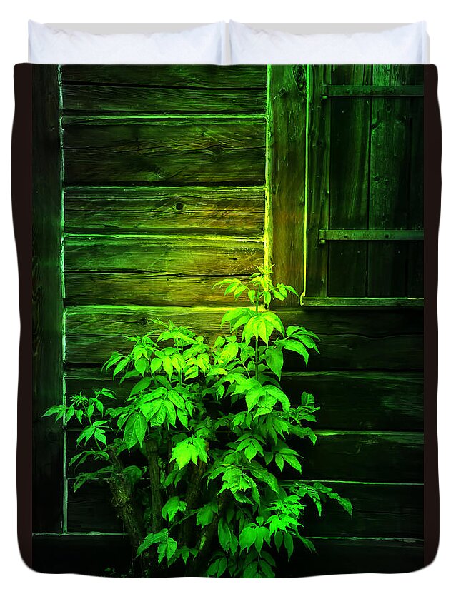 Green Duvet Cover featuring the photograph Green Tree by Lori Frostad