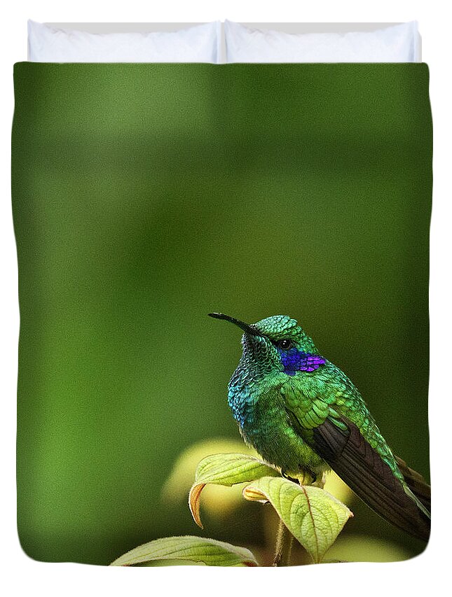 Bird Duvet Cover featuring the photograph Green Violetear Hummingbird by Heiko Koehrer-Wagner