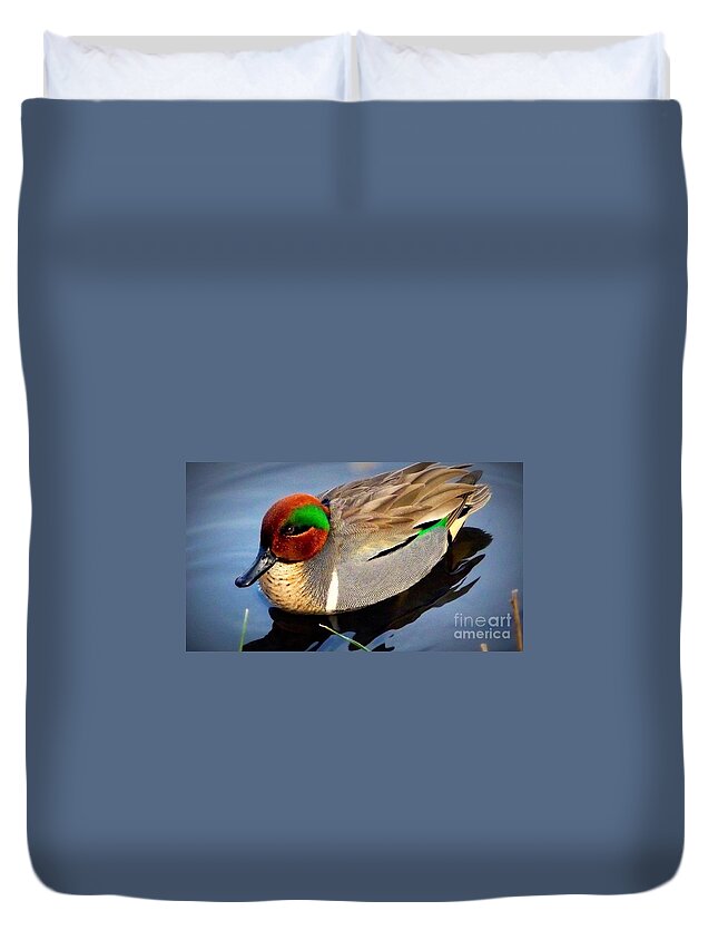 Bird Refuge Green Winged Teal Male Duck Duvet Cover featuring the photograph Green Winged Teal Duck by Susan Garren