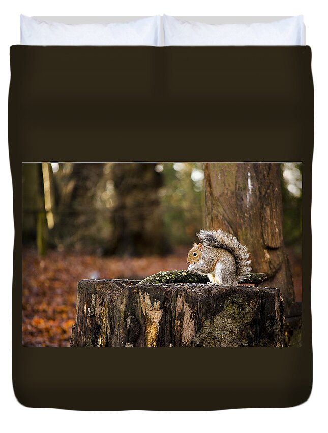 Squirrel Duvet Cover featuring the photograph Grey Squirrel on a Stump by Spikey Mouse Photography