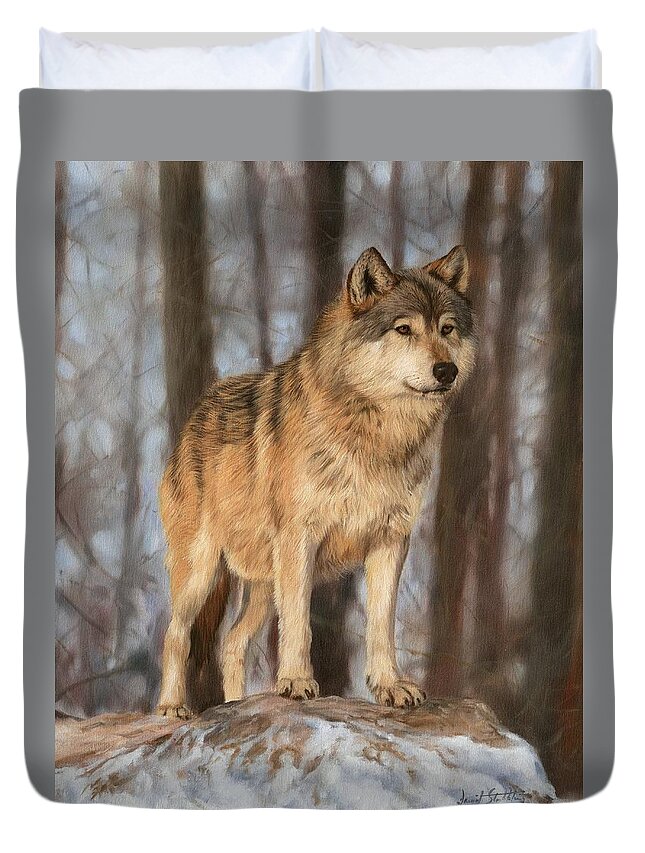 Wolf Duvet Cover featuring the painting Grey Wolf by David Stribbling