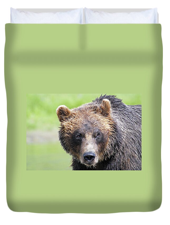 Alaska Duvet Cover featuring the photograph Grizzly Bear by Kyle Lavey
