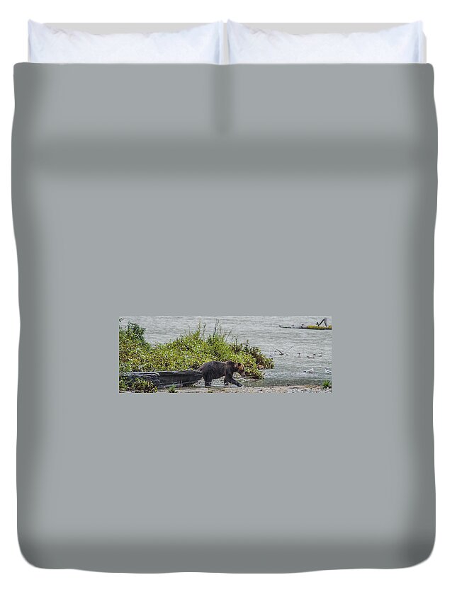 Grizzly Bear Duvet Cover featuring the photograph Grizzly Bear Late September 4 by Roxy Hurtubise