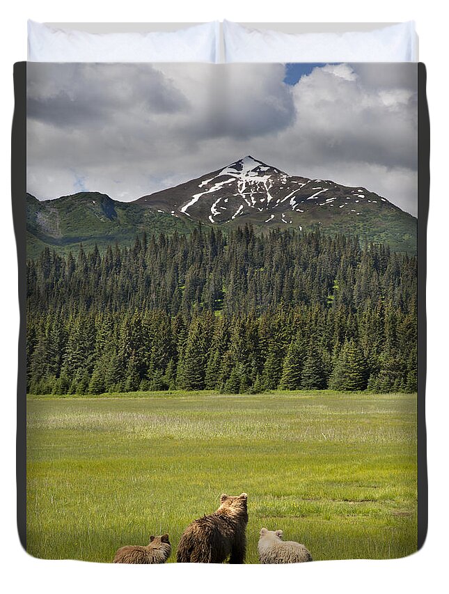 Richard Garvey-williams Duvet Cover featuring the photograph Grizzly Bear Mother And Cubs In Meadow by Richard Garvey-Williams