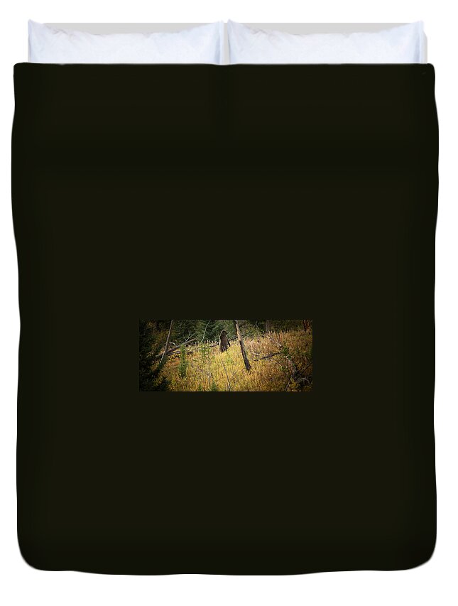 Bears Duvet Cover featuring the photograph Grizzly Bear by Roger Mullenhour