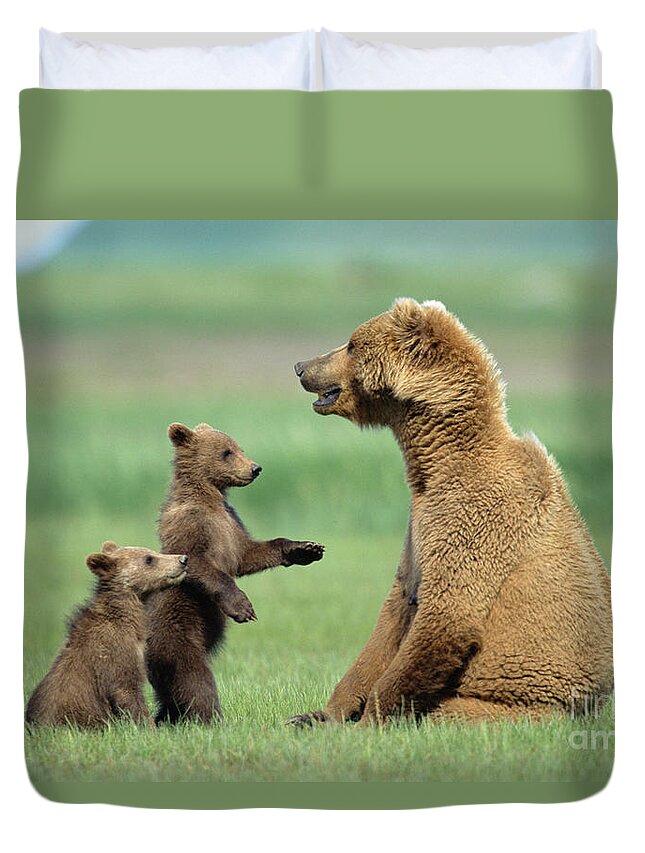 00345262 Duvet Cover featuring the photograph Grizzly Cubs with Mother by Yva Momatiuk and John Eastcott