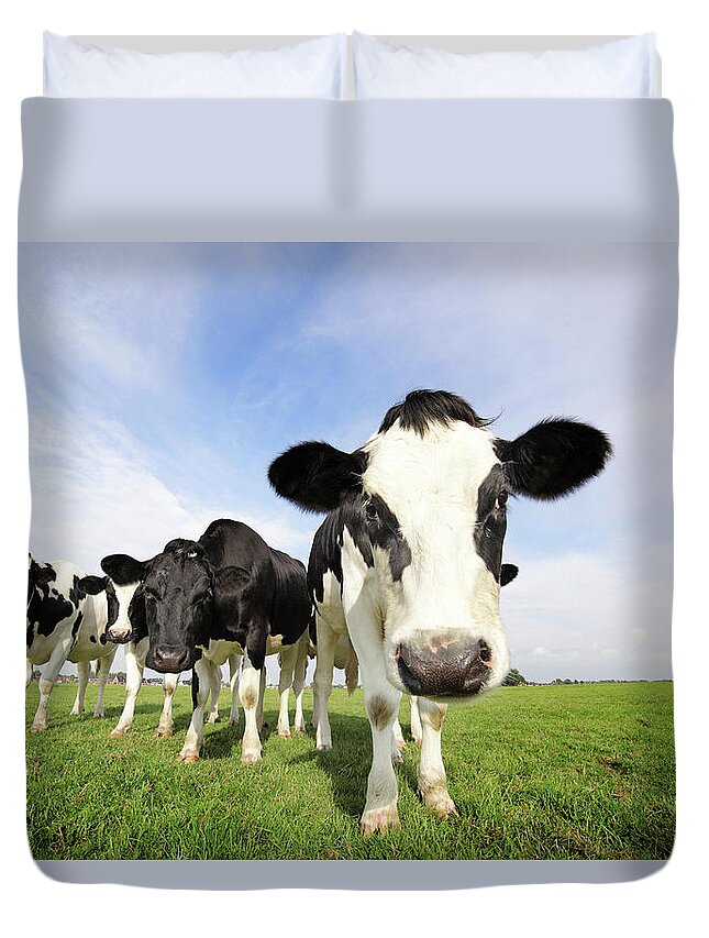 Grass Duvet Cover featuring the photograph Group Of Cows by Marcel Ter Bekke