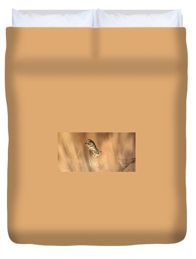 Big Horn Sheep Duvet Cover featuring the photograph Grouse 3 by Kevin Dietrich