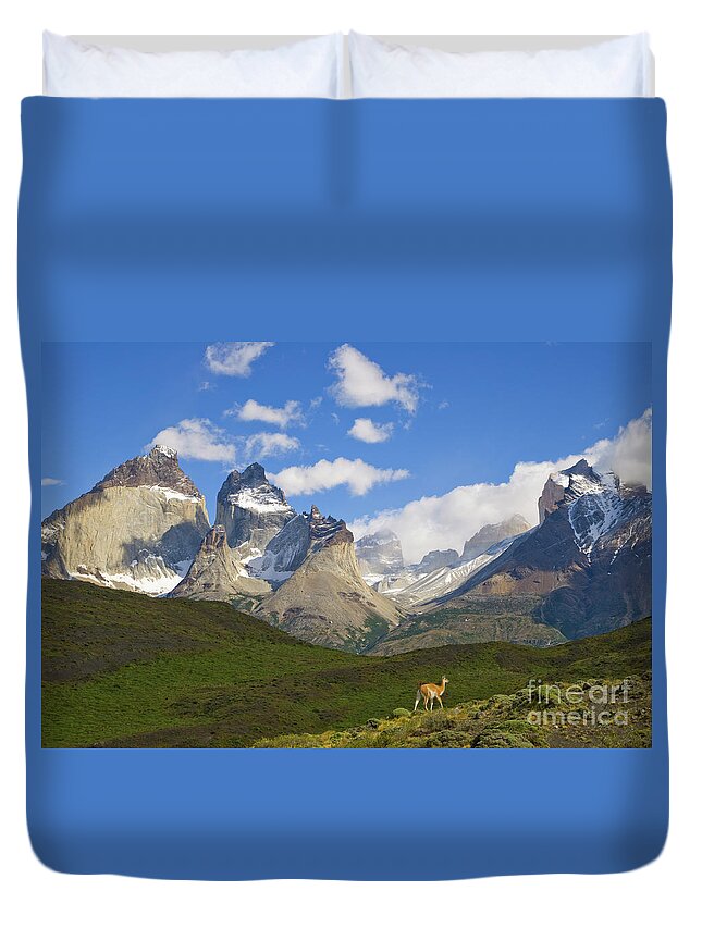 00345710 Duvet Cover featuring the photograph Guanaco And Cuernos Del Paine Peaks by Yva Momatiuk John Eastcott